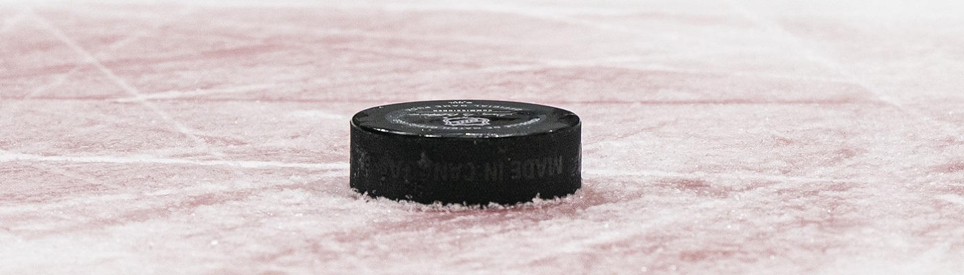 disco-hockey-30mar